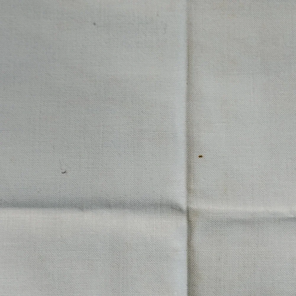 VTG Embroidered Blue White Floral Table Topper 31x38 & 4 Napkins Crochet Trim